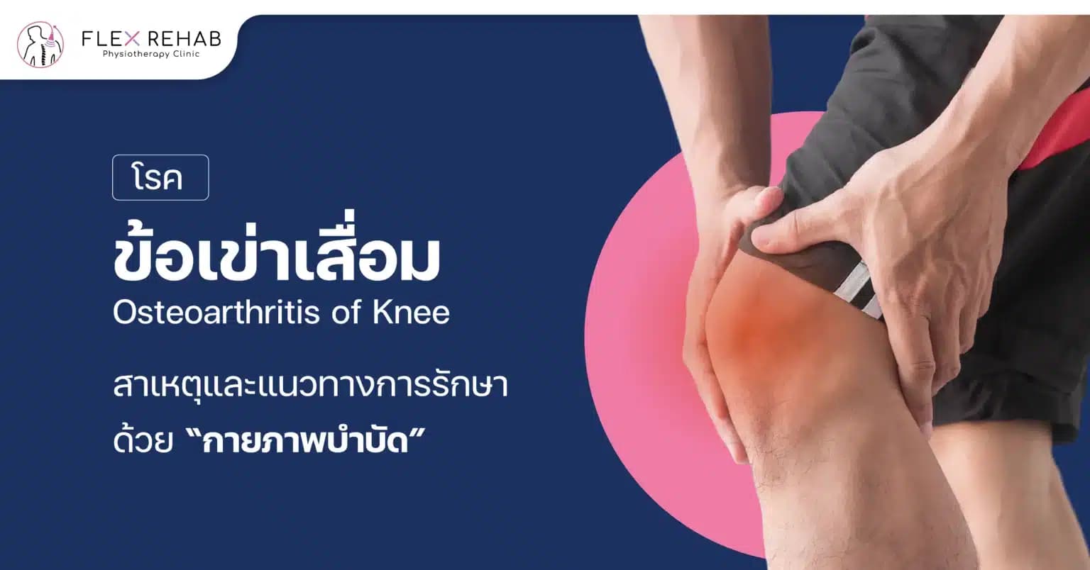 โรคข้อเข่าเสื่อม: สาเหตุ และปัจจัยเสี่ยง และการรักษาด้วยกายภาพบำบัด